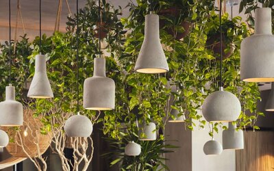 Senna House Hotel Scottsdale, Curio Collection by Hilton