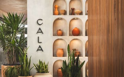 Senna House Hotel Scottsdale, Curio Collection by Hilton