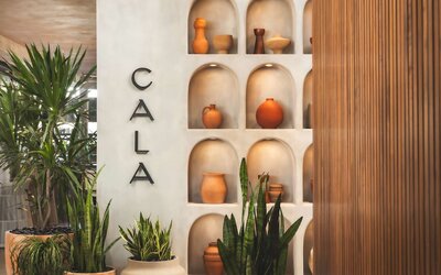 Senna House Hotel Scottsdale, Curio Collection by Hilton