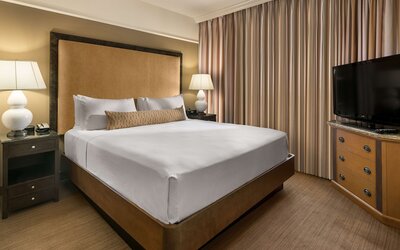 Suite, 1 King Bed with Sofa bed (One Bedroom)