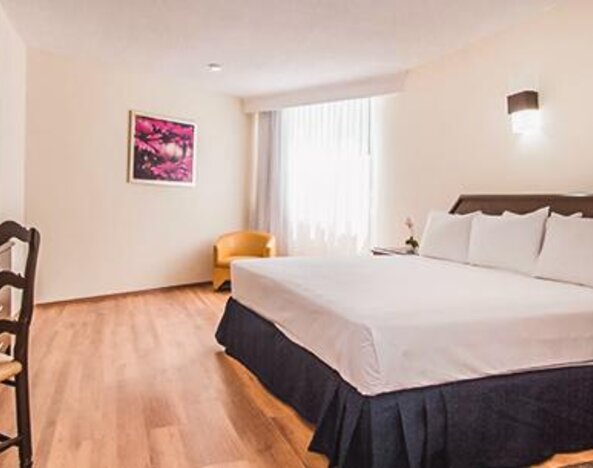 Hotel Valle de México By Toreo