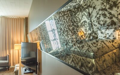 Proximity Hotel