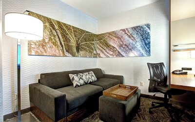 SpringHill Suites by Marriott Harrisburg Hershey