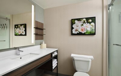 Hilton Garden Inn Jackson/Madison