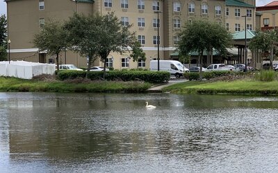 Country Inn & Suites by Radisson, Jacksonville West, FL