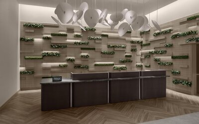 Hilton Jacksonville At Mayo Clinic