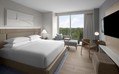 Hilton Jacksonville At Mayo Clinic