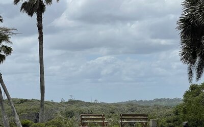 Ocean Sands Beach Boutique Inn - 1 Acre Private Beach