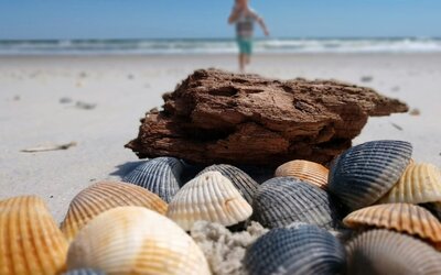 Ocean Sands Beach Boutique Inn - 1 Acre Private Beach