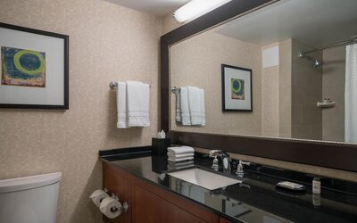 Sheraton Kansas City Hotel at Crown Center