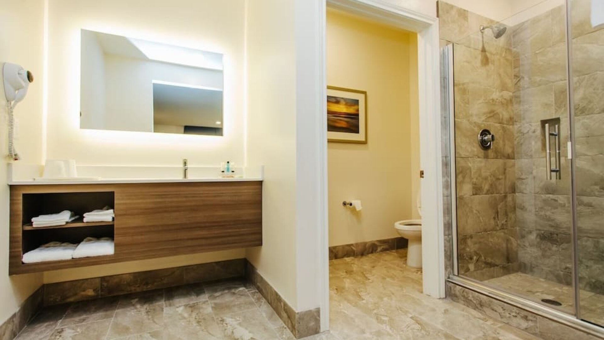Guest bathroom with shower at Palace Inn Blue CityCentre.