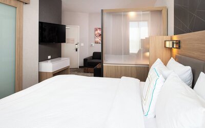 SPRINGHILL SUITES KANSAS CITY NORTHEAST