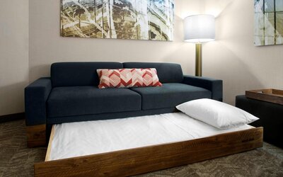 SpringHill Suites by Marriott Kansas City Lenexa City Center