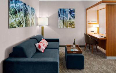 SpringHill Suites by Marriott Kansas City Lenexa City Center