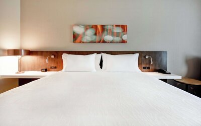 Hilton Garden Inn Lansing West