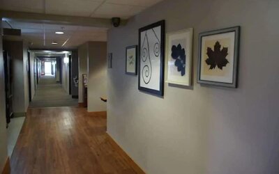 Country Inn & Suites by Radisson, Lansing, MI