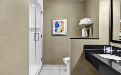 Fairfield Inn & Suites Lansing at Eastwood