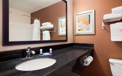 Fairfield Inn & Suites Lansing West