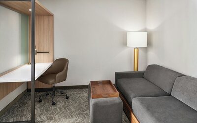 SpringHill Suites by Marriott Lansing