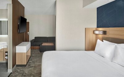 SpringHill Suites by Marriott Lansing