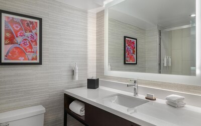 Embassy Suites by Hilton Laredo