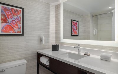Embassy Suites by Hilton Laredo
