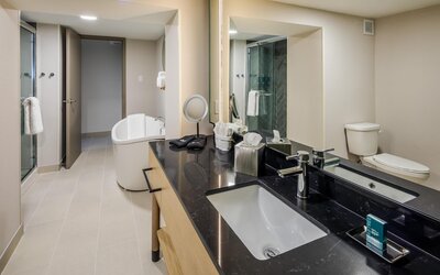 DoubleTree by Hilton Laredo