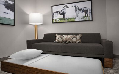 Springhill Suites by Marriott Lexington Fritz Farm