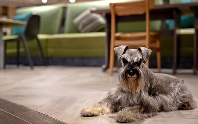 Home2 Suites by Hilton Lexington Hamburg