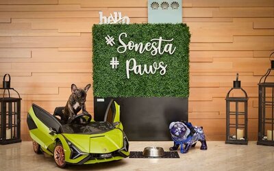 Pet friendly at Sonesta Redondo Beach & Marina.