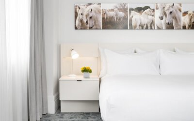 21c Museum Hotel Lexington