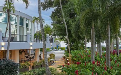 Hotel garden at Royal Sonesta San Juan.