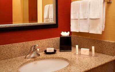 Guest bathroom at Sonesta Select Detroit Auburn Hills.