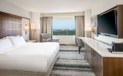 King room with natural light at Signia By Hilton Orlando Bonnet Creek.
