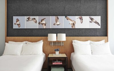 21c Museum Hotel Louisville
