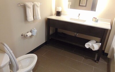 Wingate by Wyndham Lubbock near Texas Tech Univ. Medical Ctr