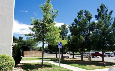 Hawthorn Suites by Wyndham Lubbock