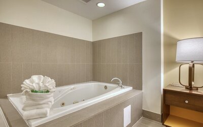 Holiday Inn Hotel & Suites Madison West - Middleton by IHG