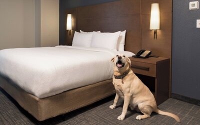 Residence Inn by Marriott Memphis Downtown
