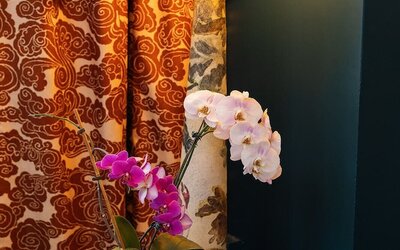 voco Hotel Napoleon Memphis by IHG