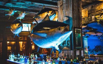 Big Cypress Lodge