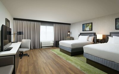 Suite, 1 Bedroom (King with Sofabed)