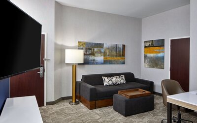 Springhill Suites By Marriott Memphis Downtown