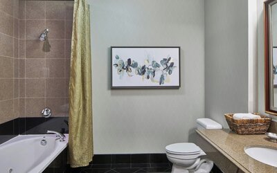 Springhill Suites By Marriott Memphis Downtown