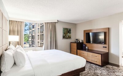 DoubleTree by Hilton Hotel Memphis