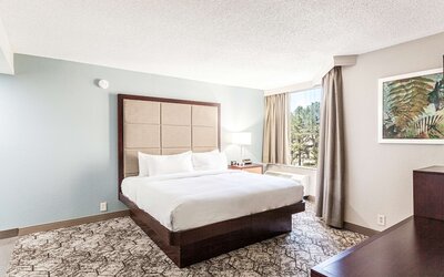 DoubleTree by Hilton Hotel Memphis