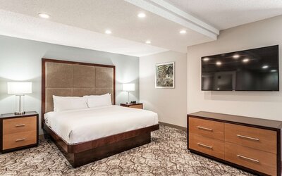 DoubleTree by Hilton Hotel Memphis