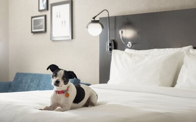 Four Points by Sheraton Milwaukee North Shore