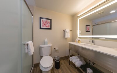 Holiday Inn Brookfield - ​​Milwaukee by IHG