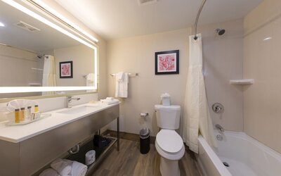 Holiday Inn Brookfield - ​​Milwaukee by IHG